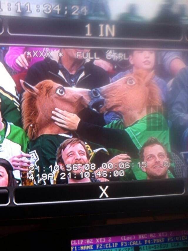 This Couple started making out for the Kiss Cam at a Dallas Stars Game