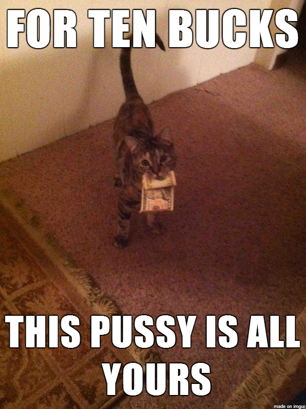I knew that cat didn't 