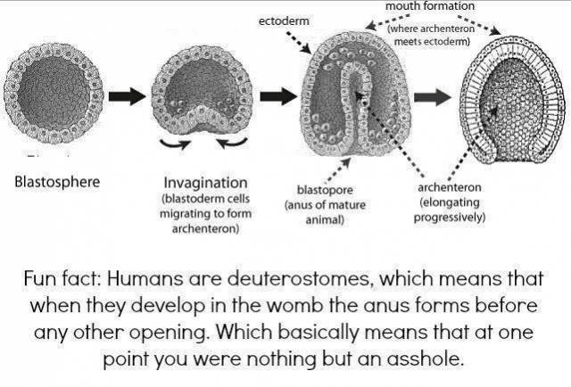 Born this way...