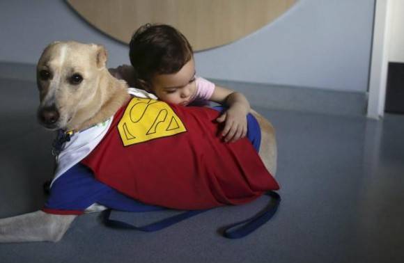 Trained Therapy Dog at a Children’s Hospital.