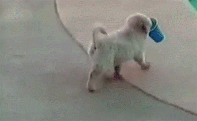 I'm going to get a drink...oh f*ck