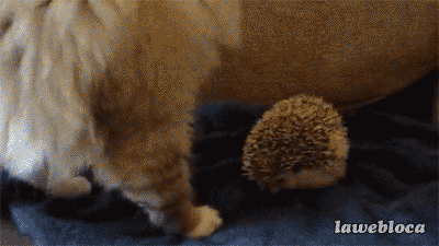 Damn you're sharp