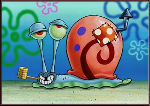 How I feel my pet looks compared to the ones on raww
