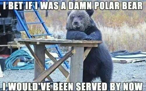 Racism, not just for humans