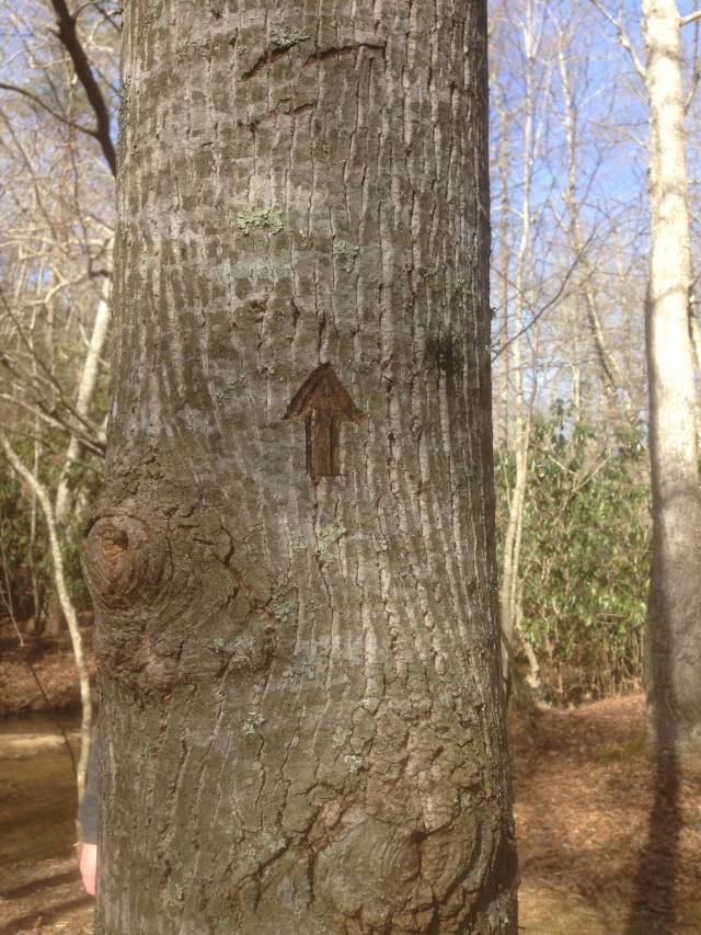 Found on the Appalachian Trail. I thought I had escaped you people.