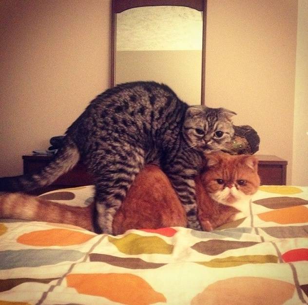 I guess i should have knocked first.