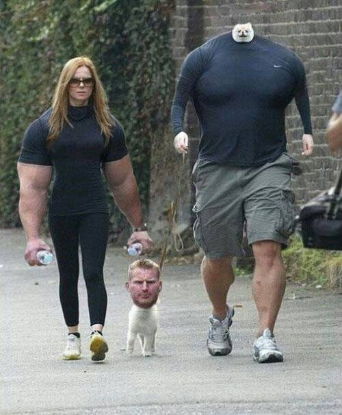 Has faceswapping gone too far?