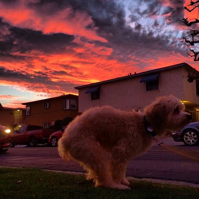 My friend captured last night's sunset from a rather interesting angle.