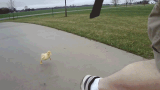 DON'T RUN FROM MY LOVE!
