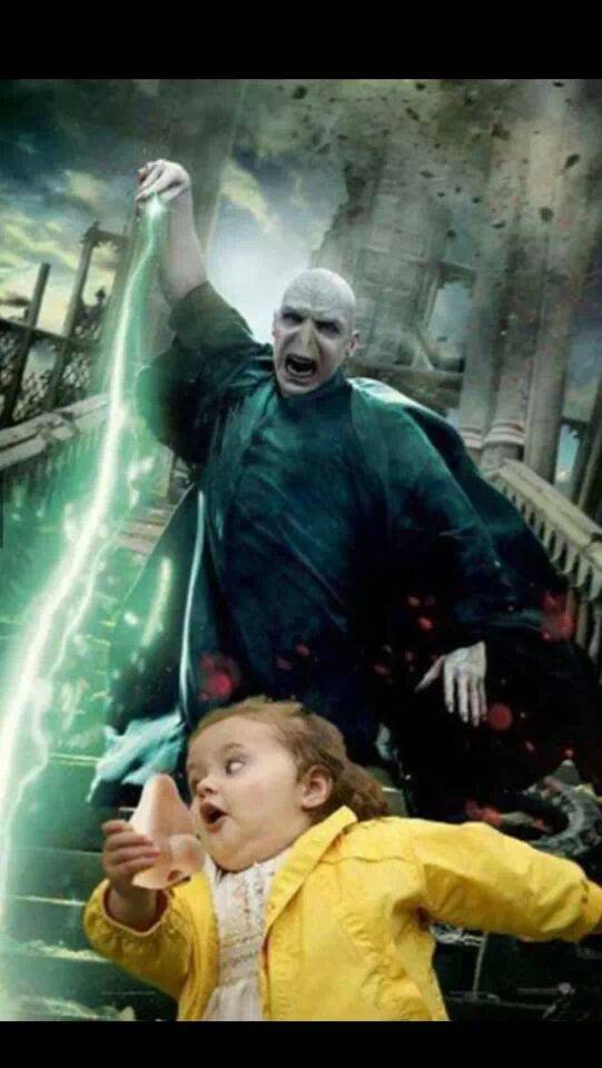 My favorite picture on the internet