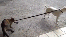 You’re coming with me