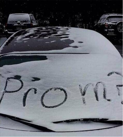 ‘Wrote this on a few cars and then left’