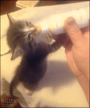 Bedtime routine!