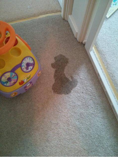 My toddler told me that she'd had an accident and now we had a 