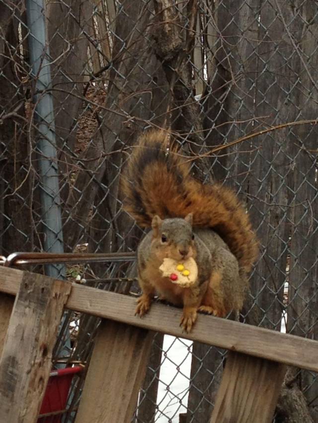 I threw a cookie in the trash, and 10 seconds later this popped up.