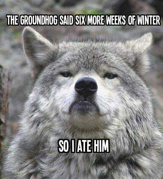 My thoughts exactly...