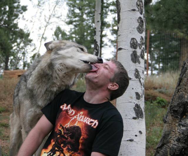 And suddenly, Wolf!