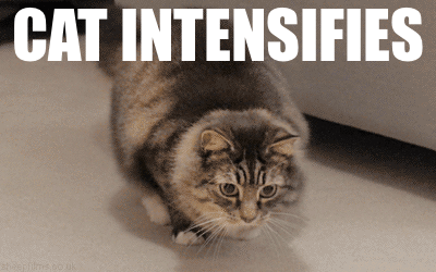 Cat Intensifies