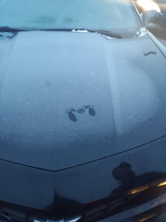 Something tiny teabagged my car.