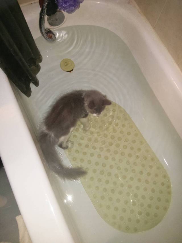 Run a bath for my step son, turn around and see this.