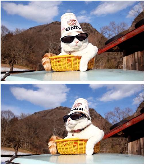 It's good to be king.