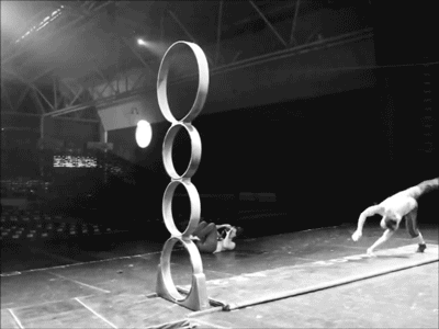 Backflip