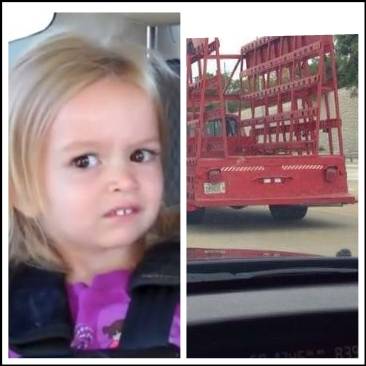 Twins?