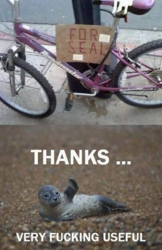 For Seal