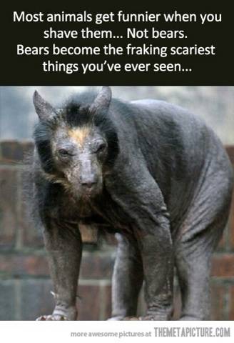 I thought they were scary when they were fuzzy.