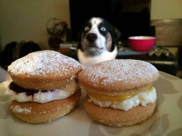 Pastries anyone?