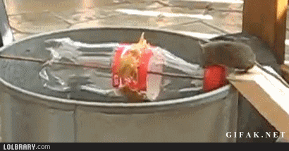 Redneck mousetrap