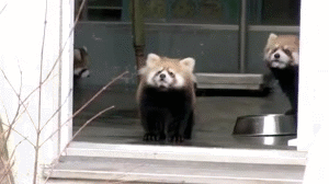 Surprise!