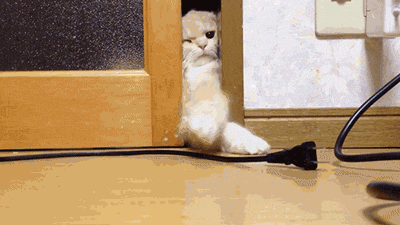 Can’t..quite..reach..*lick*