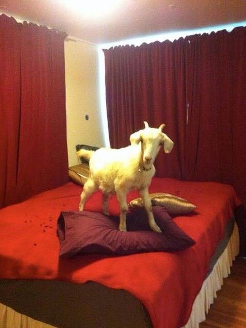I told her I have a surprise for her in the bedroom.