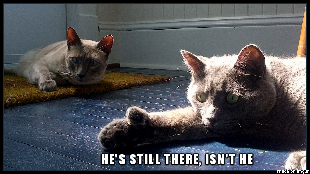 Is He Still There?