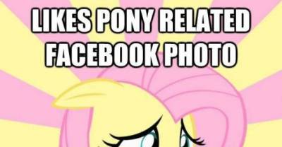 The Unique And Intense Life Of A Brony