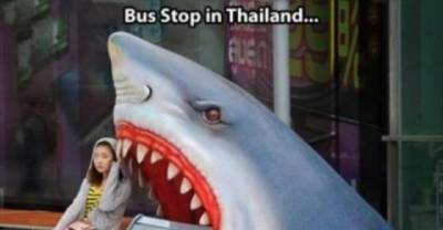 Coolest Bus Stops from around the world