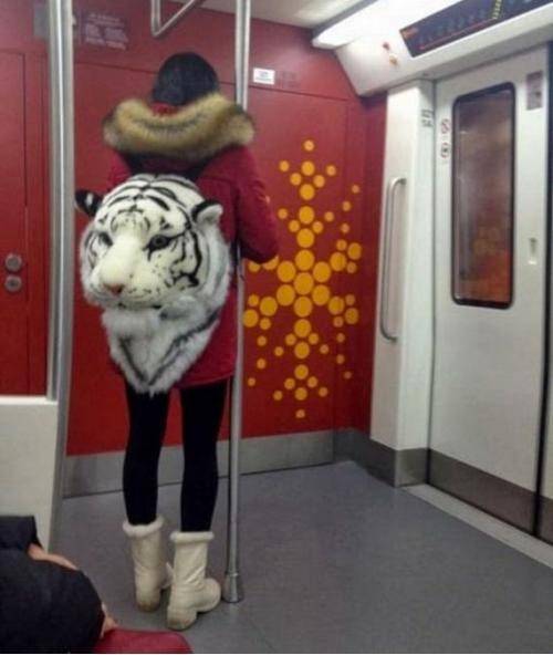 And the coolest backpack award goes to..