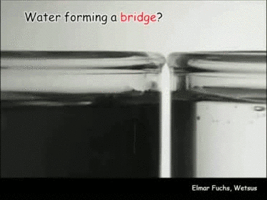 Water forming a bridge by using electrical force