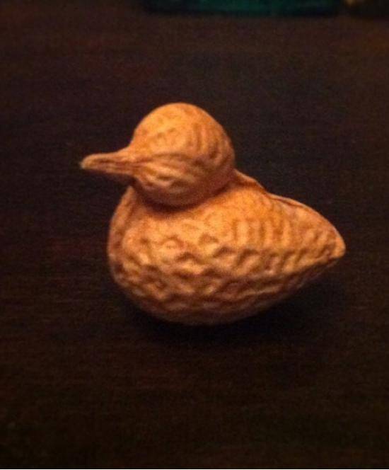This peanut my cousin found looks like a bird.