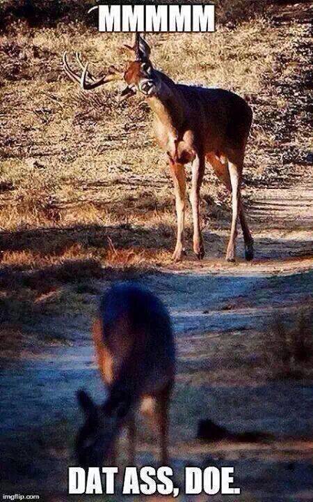 This buck wants to f*ck