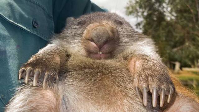 Totally relaxed for the weekend