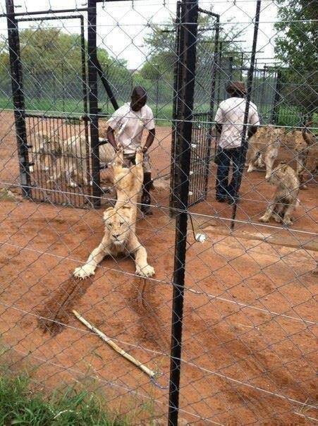 Meanwhile Somewhere in....