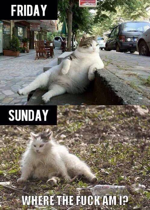 Every single weekend.