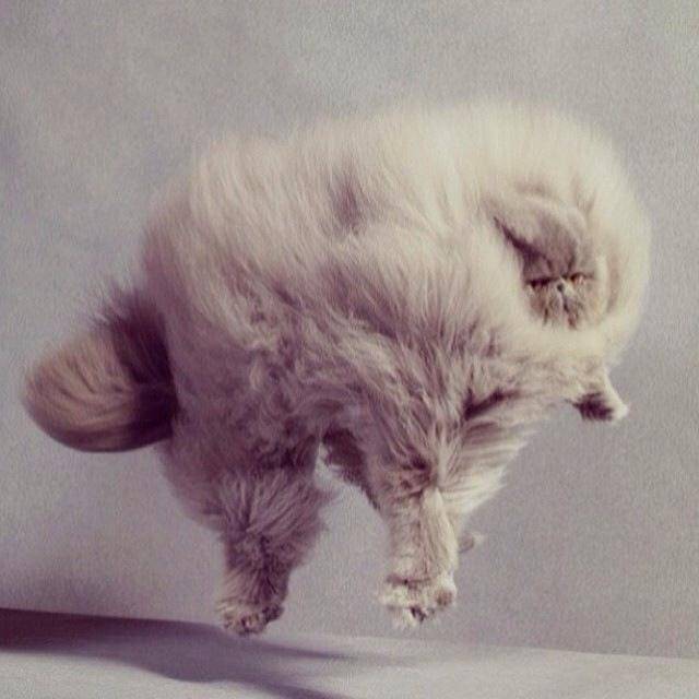 So majestic