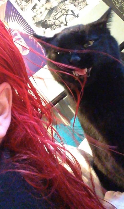 I'm not sure how my cat feels about my new hair color.