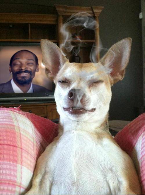 Nailed it