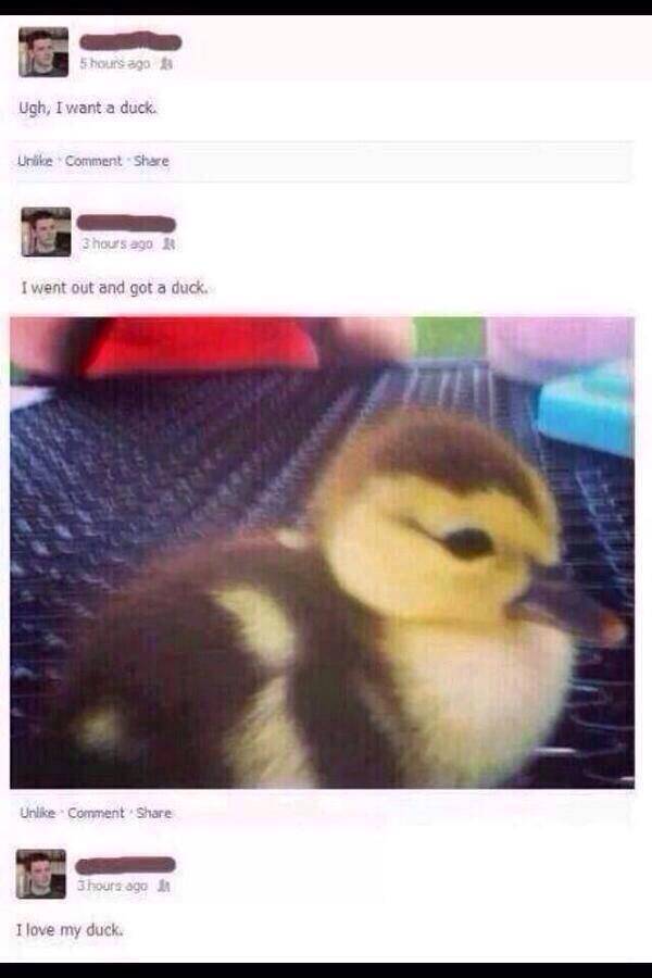 Pursue your goals