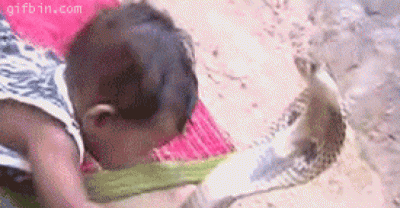 Awesome GIFs for the day!