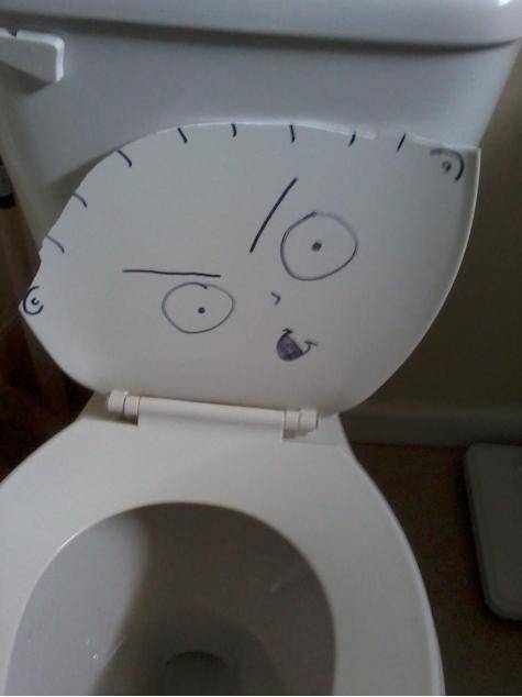 Toilet seat broke so.......